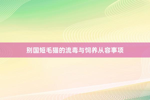 别国短毛猫的流毒与饲养从容事项
